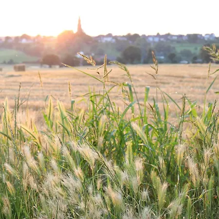 Aan Gezellige Binnenhof Nabij Het Vijlenerbos, Vijlen, Zuid-limburg *