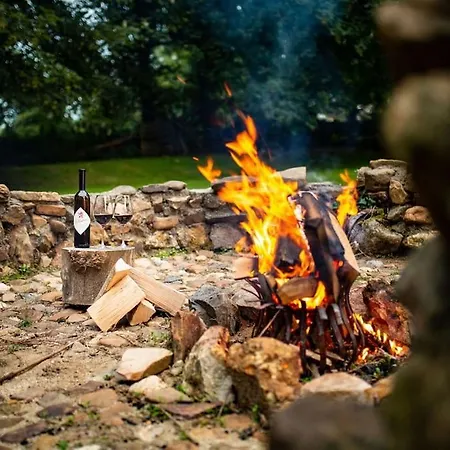 Mooiste Plek In Het Heuvelland-de Wandelaar Vijlen